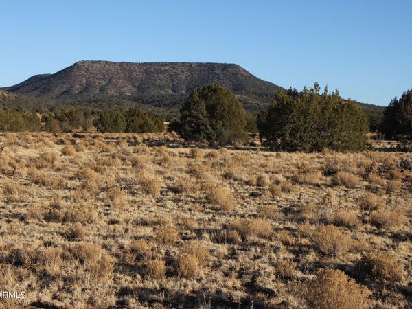 Wrangler R Wrangler Ridge rd, Unit 301118203, Seligman, AZ 86337