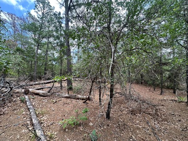217 Helemano DR , Bastrop, TX 78602