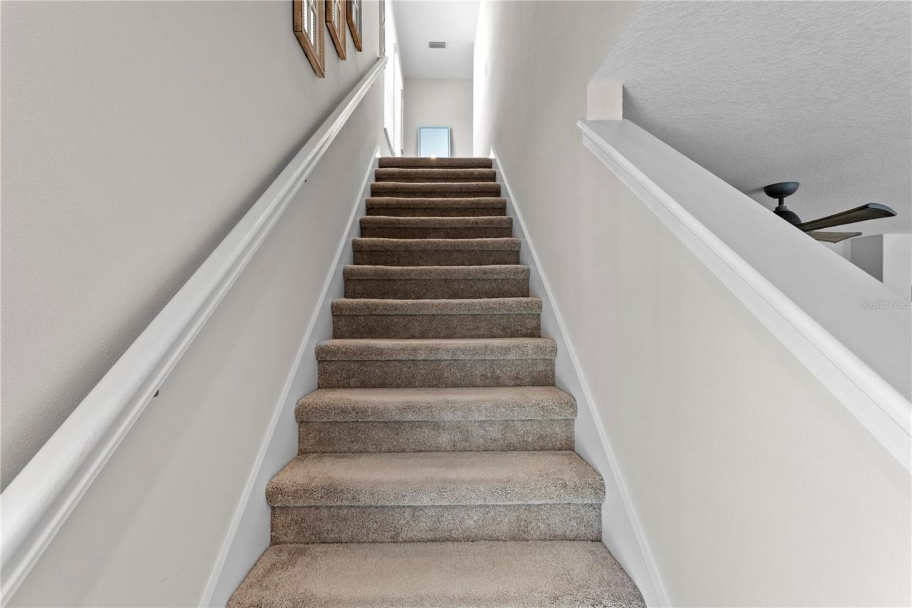 2501 17th Street N, Saint Petersburg, FL 33713 Photo