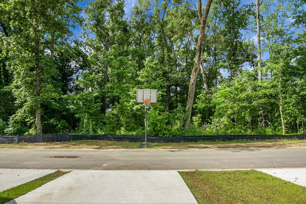 155 Cantona Drive Photo 7