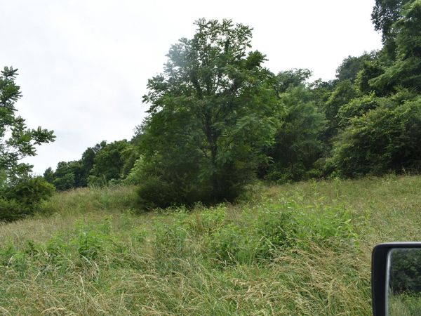 0 Pleasant Shade Hwy , Unit 16, Pleasant Shade, TN 37145