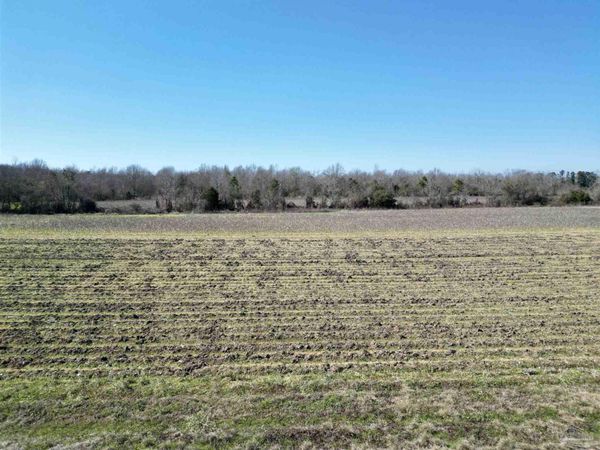 2 Cowpen Creek Rd, Atmore, AL 36502
