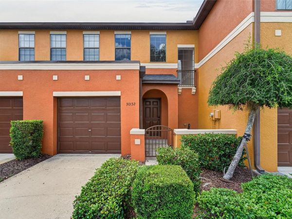 30132 MOSSBANK DRIVE , WESLEY CHAPEL, FL 33543