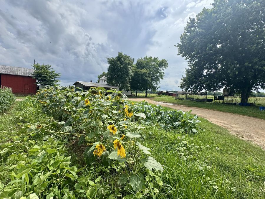Property Image 30