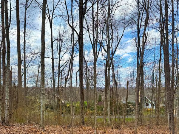 Lot 22 Stonewall Ridge, Bristol, VA 24202