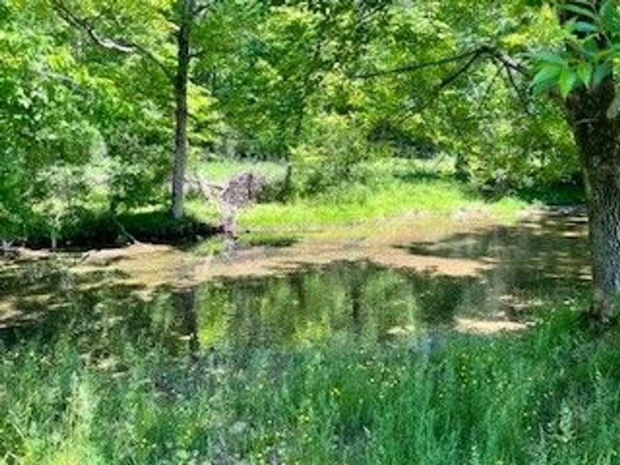 Property Image 68