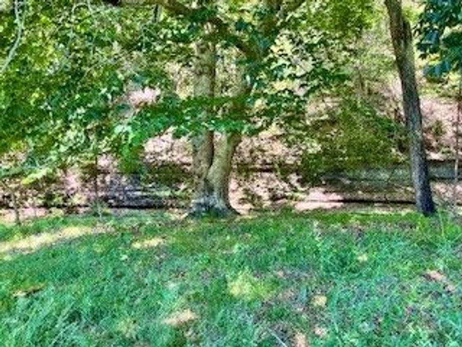 Property Image 69