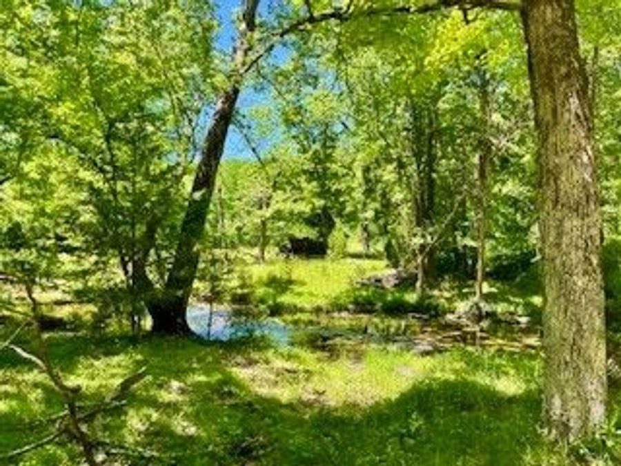 Property Image 71