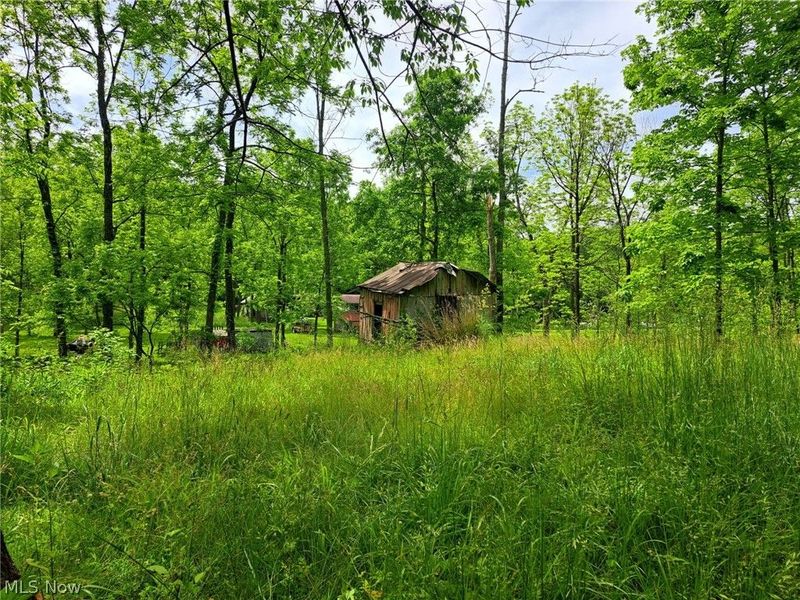 59208 Trail Run Road , Byesville, OH 43723 Photo 15