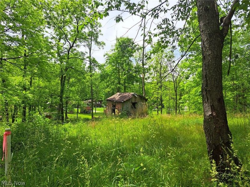 59208 Trail Run Road , Byesville, OH 43723 Photo 16