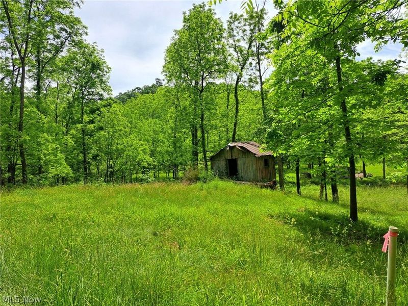 59208 Trail Run Road , Byesville, OH 43723 Photo 17