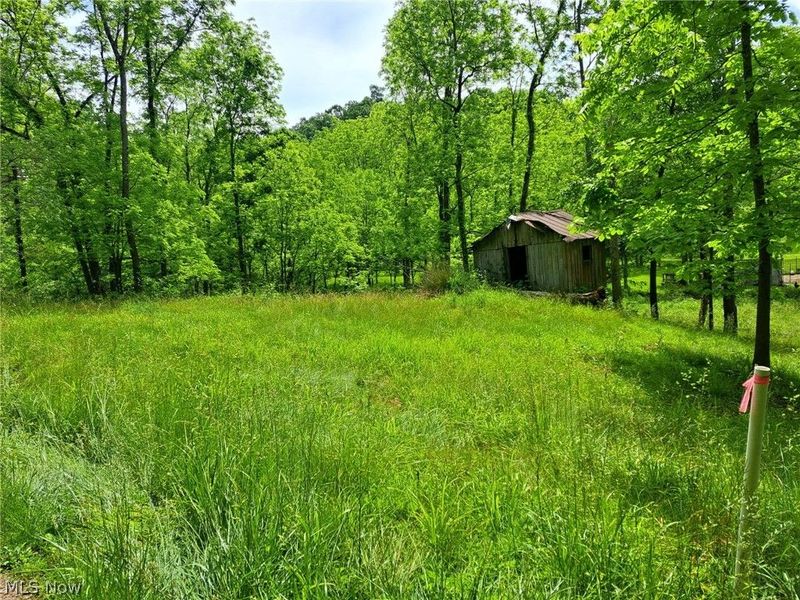 59208 Trail Run Road , Byesville, OH 43723 Photo 18