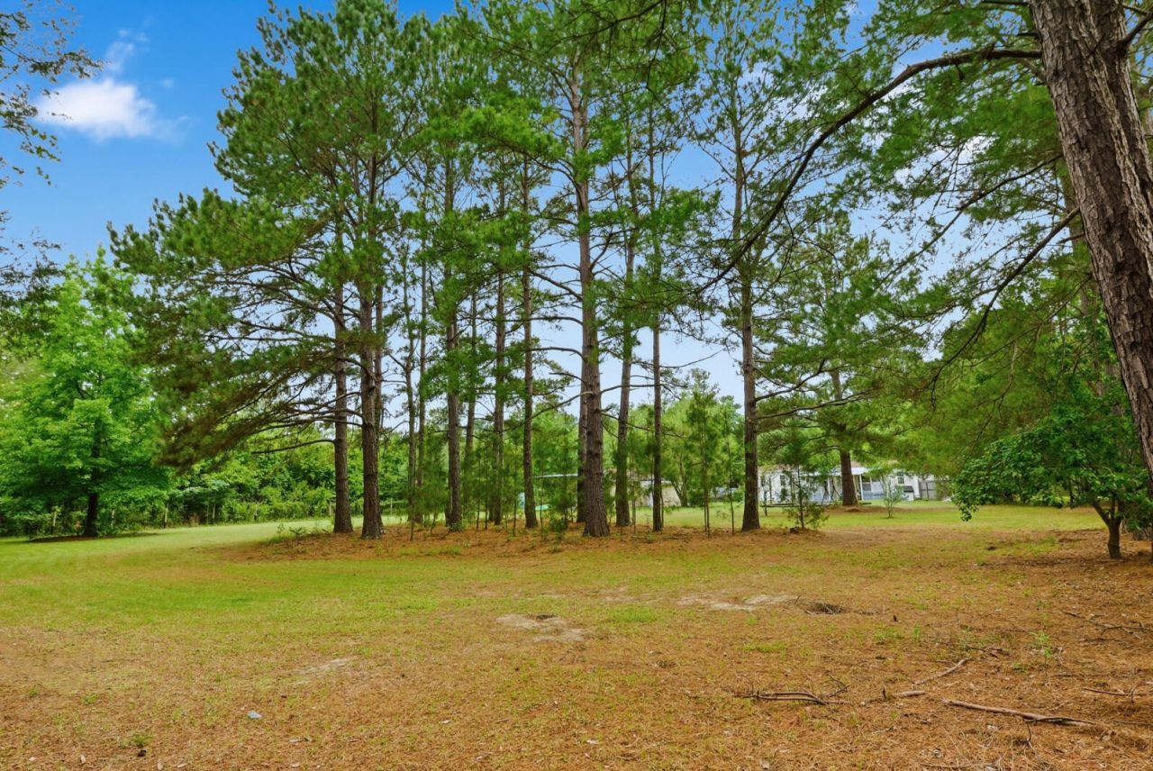 355 Trinity Church Road Photo 59