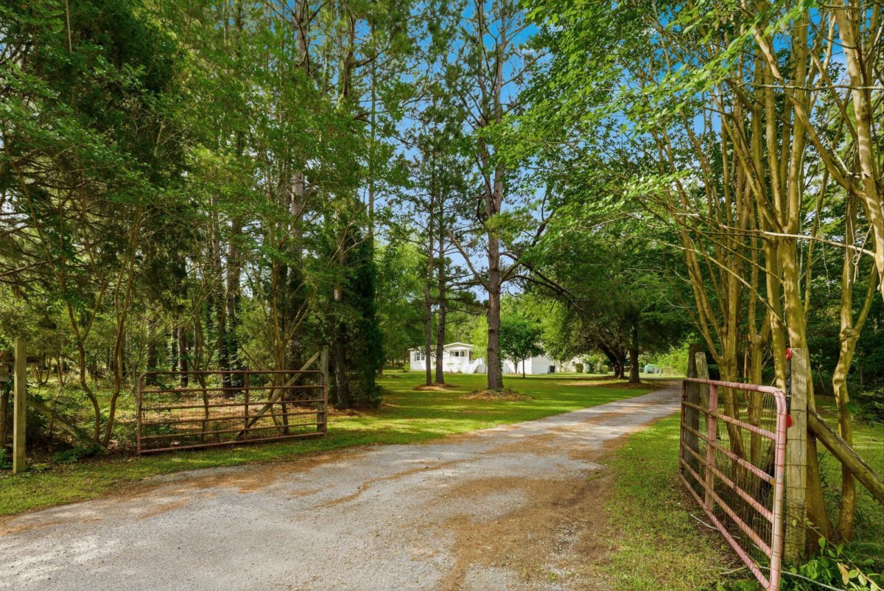355 Trinity Church Road Photo 6