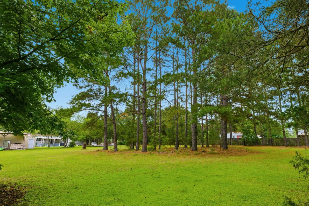 355 Trinity Church Road Photo 60