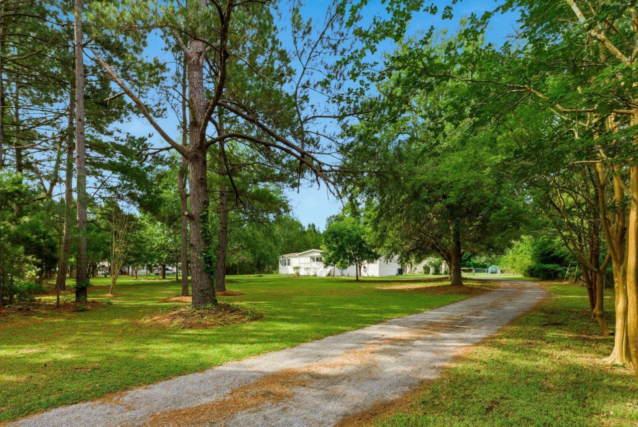 355 Trinity Church Road Photo 7