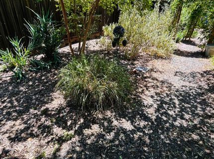2261 Knight Way, Sacramento, CA 95822 Photo