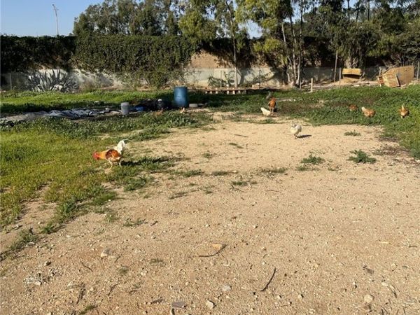 200 S Sunol Drive, Los Angeles, CA 90063