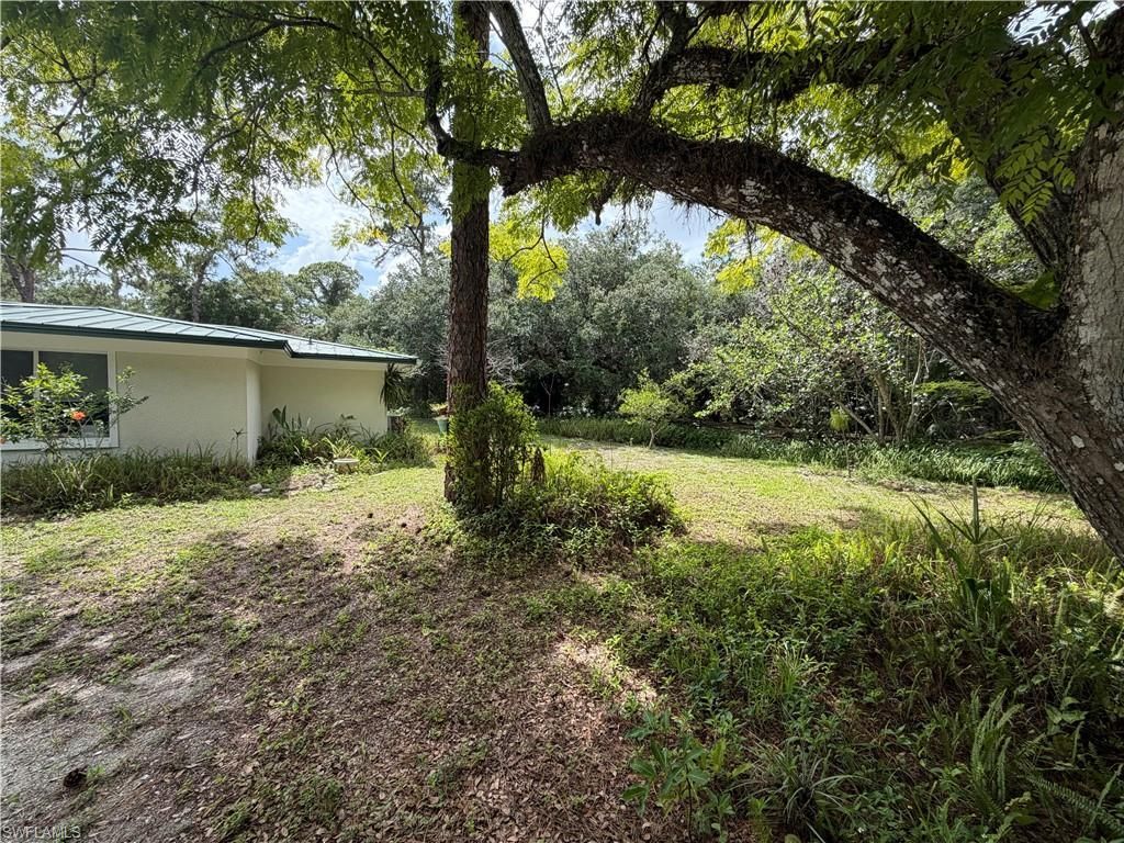 18251 Persimmon Ridge Rd, Alva, FL 33920 Photo