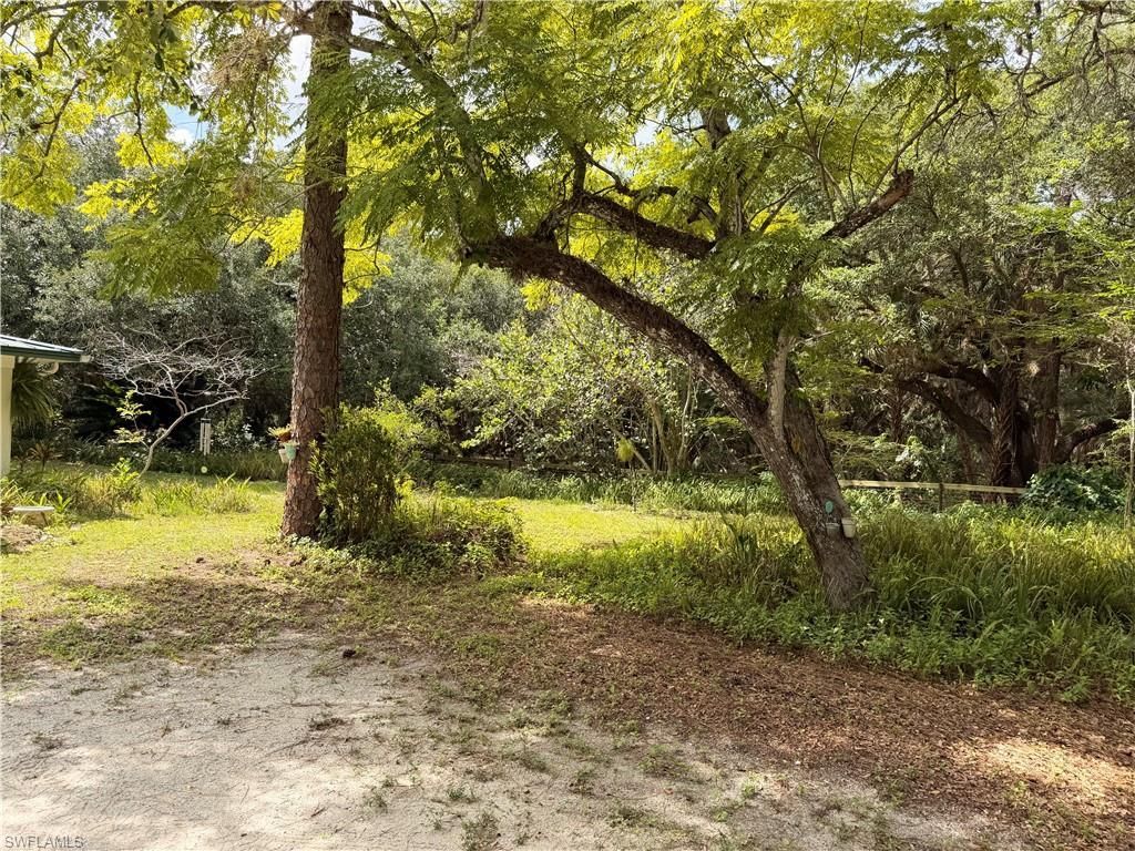 18251 Persimmon Ridge Rd, Alva, FL 33920 Photo