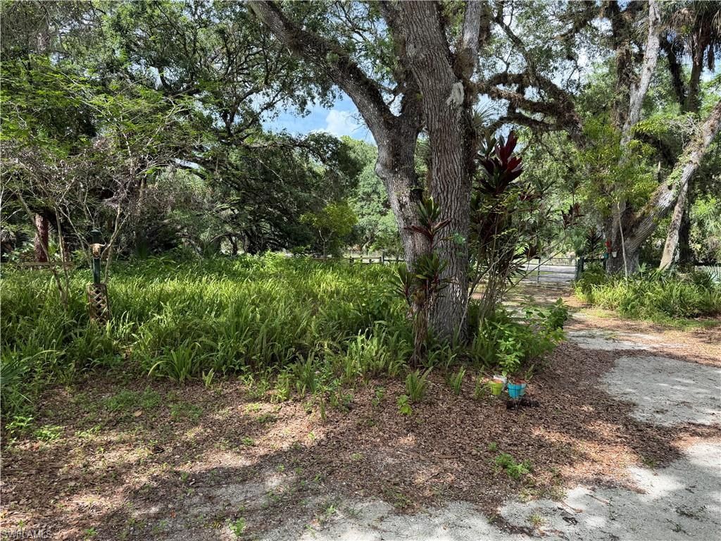 18251 Persimmon Ridge Rd, Alva, FL 33920 Photo