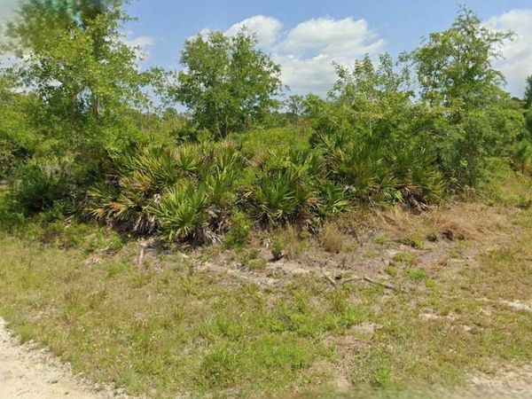 383 CAROLE ROAD NW, LAKE PLACID, FL 33852