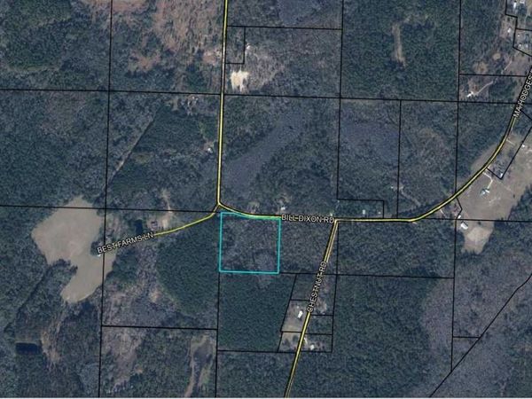 BILL DIXON ROAD , GRACEVILLE, FL 32440