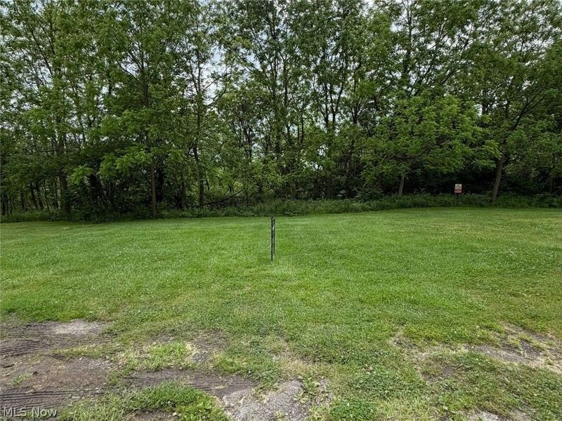 Victoria Street, Youngstown, OH 44510 Photo 1
