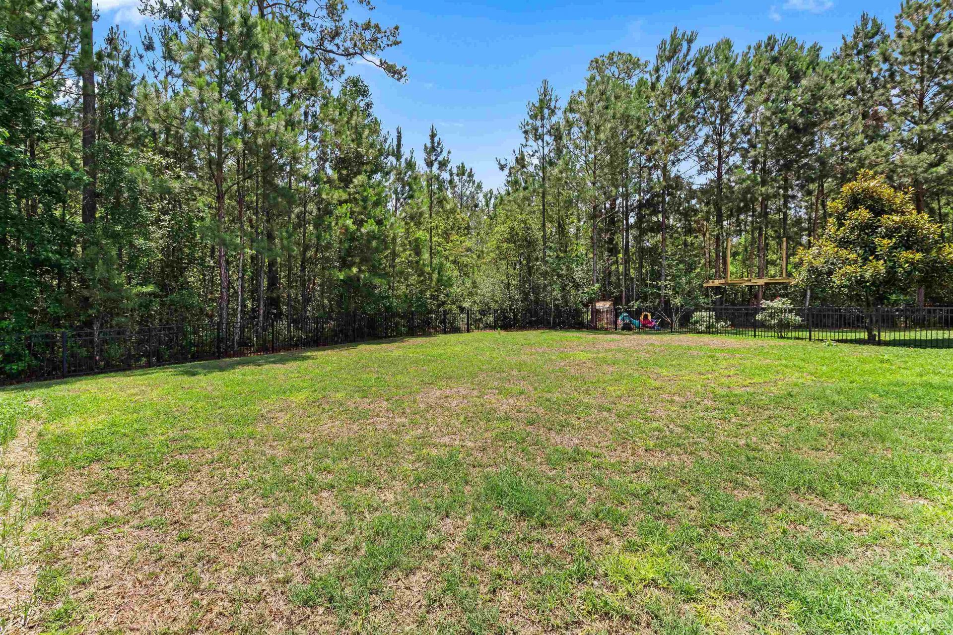 163 Long Leaf Pine Dr.  Photo 36