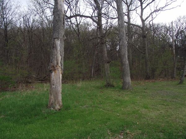 lot 012 Tuscola Avenue , St. Charles, IL 60174