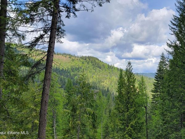 NNA Pup Paw Trail , Priest River, ID 83856