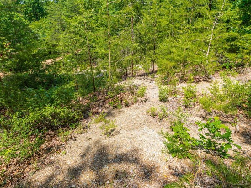 120 Thelma Lane, Blue Creek, OH 45616 Photo 10