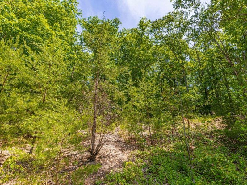 120 Thelma Lane, Blue Creek, OH 45616 Photo 9