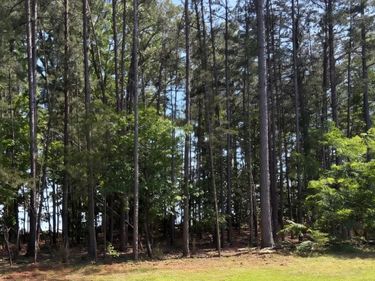 0 Wyatts Way, Evington, VA 24550