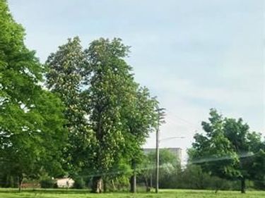 2960 Vermont Street , Detroit, MI 48216
