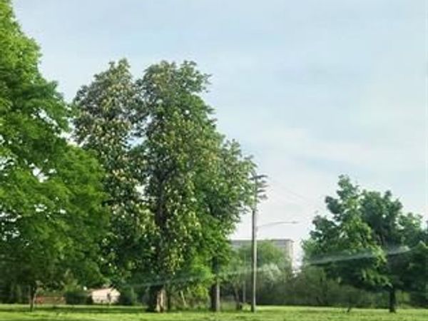 2960 Vermont Street , Detroit, MI 48216