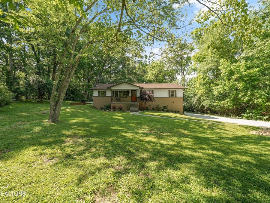 Property Image 54