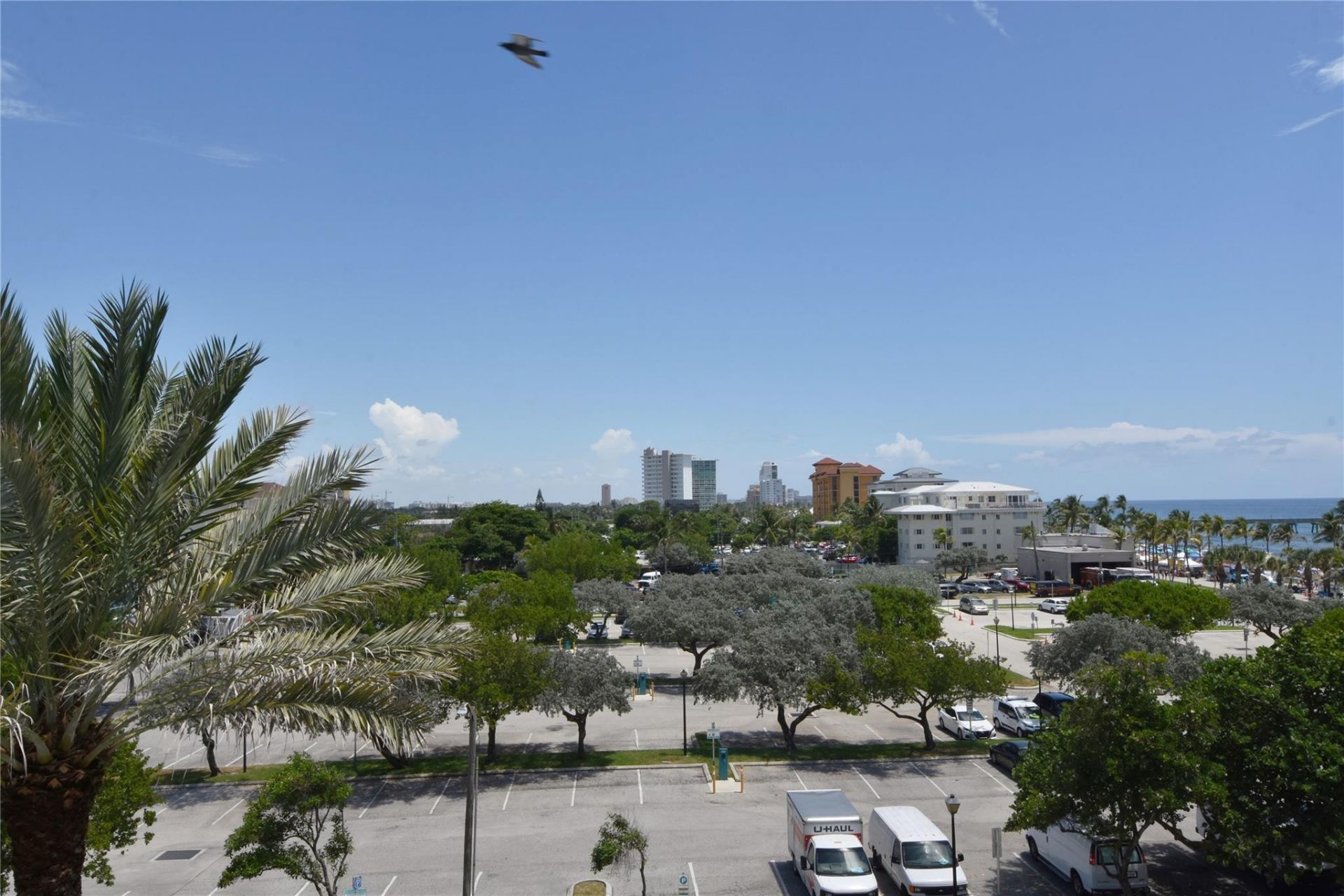 2051 SE 3rd Street, Unit 509, Deerfield Beach, FL 33441 Photo