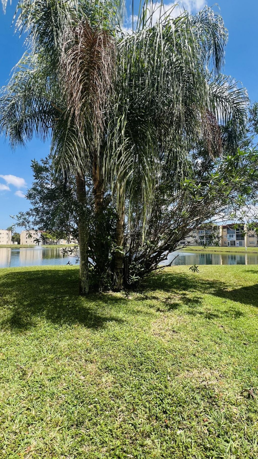 8920 Sunrise Lakes Boulevard, Unit 208, Sunrise, FL 33322 Photo