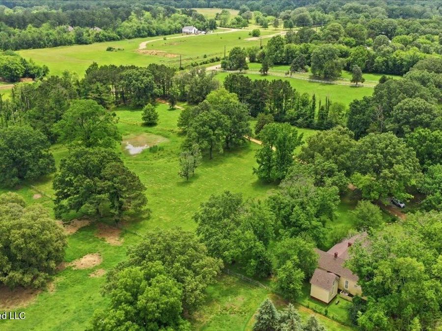 Property Image 78