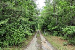 1141 Crosshill Road  photo 4