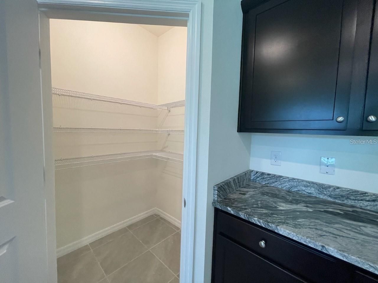3616 Mossy Limb Court, Palmetto, FL 34221 Photo