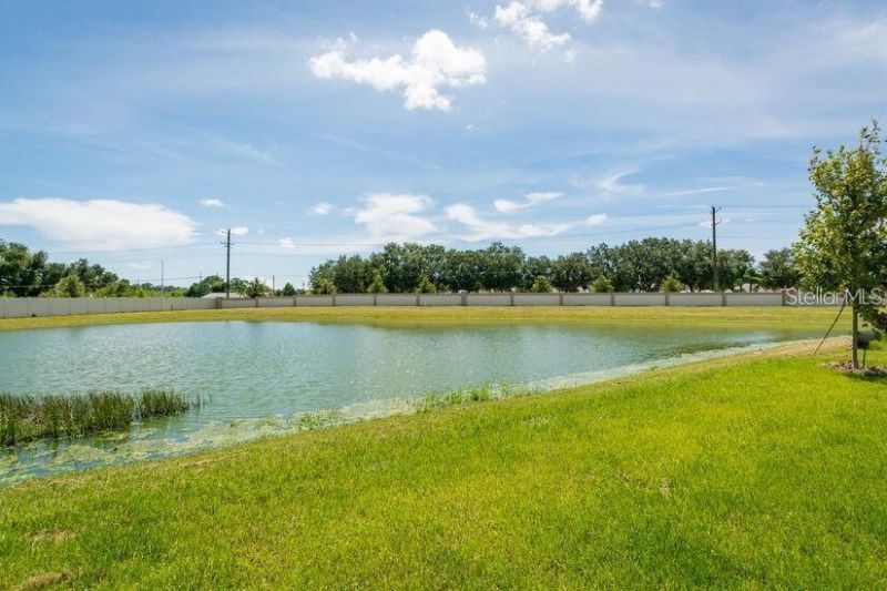 3616 Mossy Limb Court, Palmetto, FL 34221 Photo