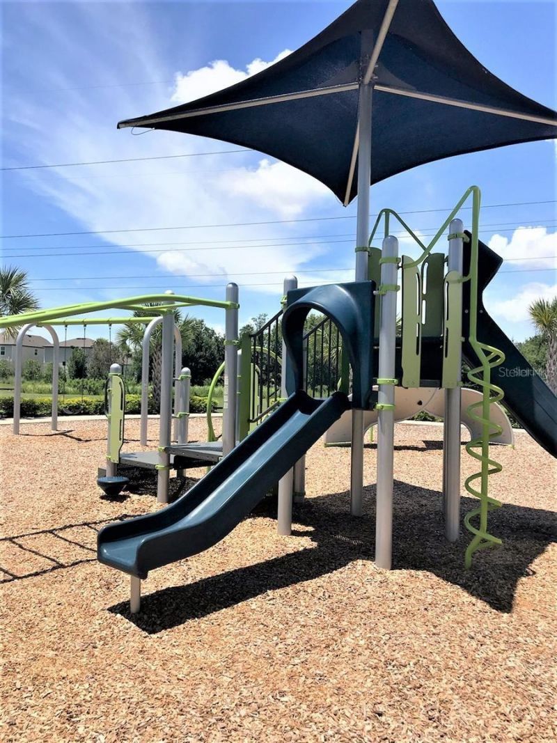 3616 Mossy Limb Court, Palmetto, FL 34221 Photo