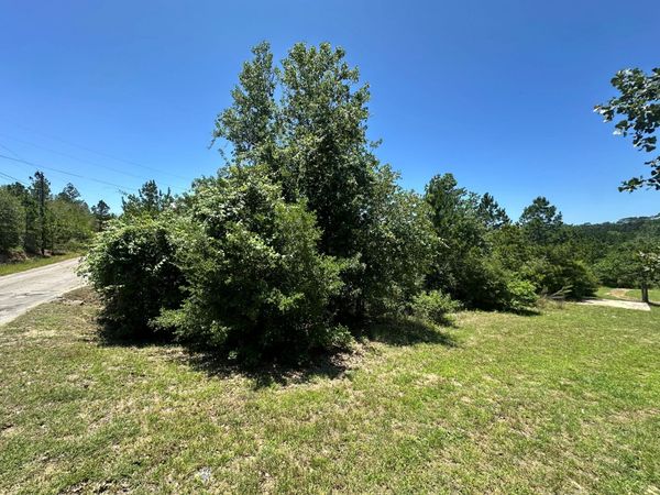 000 Manawianui DR , Bastrop, TX 78602