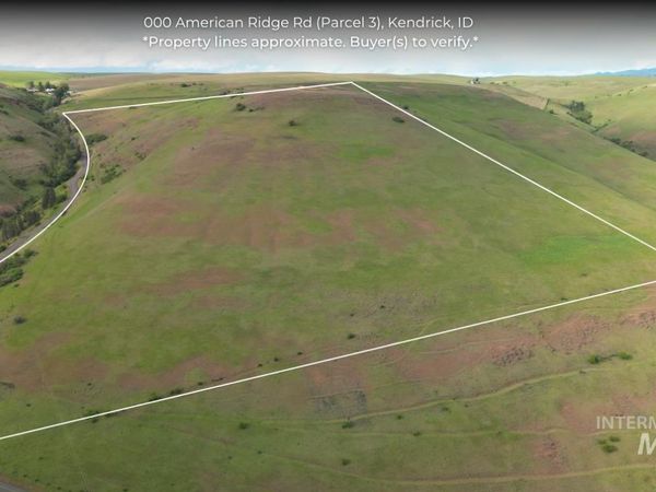 000 American Ridge Rd (Parcel 3), Kendrick, ID 83537