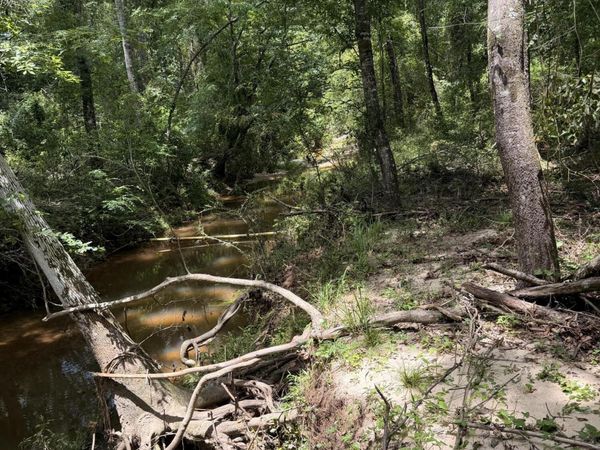 River Road, Liberty, MS 39645
