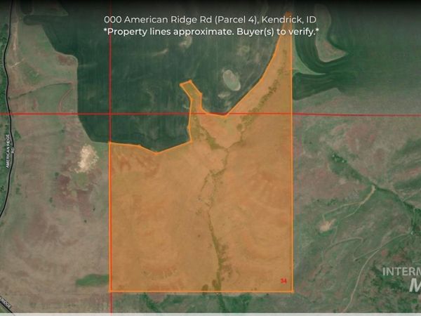 000 American Ridge Rd (Parcel 4), Kendrick, ID 83537