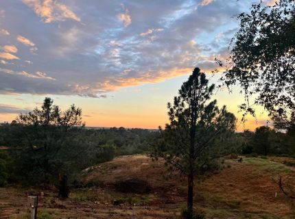 989 Carbondale Rd, Ione, CA 95640 Photo