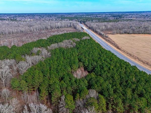 71 ACRE Grant 167031 , Sheridan, AR 72150